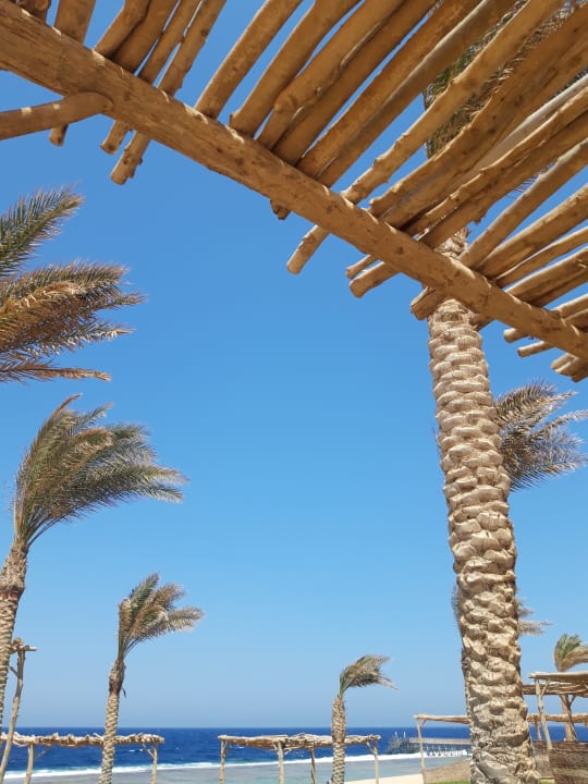 Strand Steigenberger Resort Alaya Marsa Alam - Red Sea - Adults only