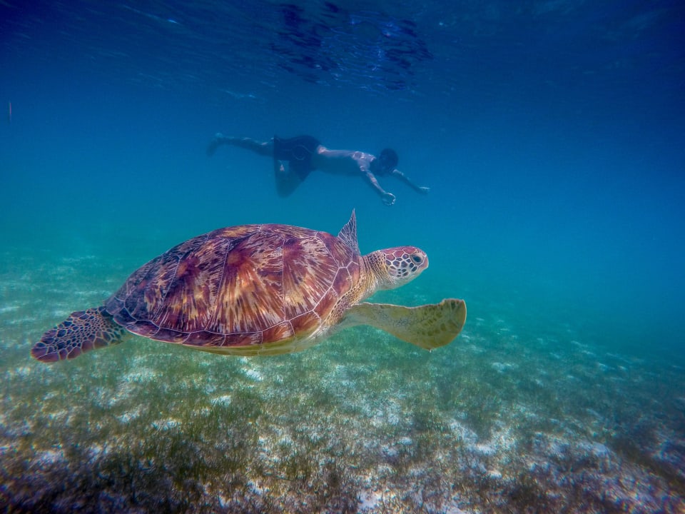 Schnorcheln Kuredu Island Resort & Spa
