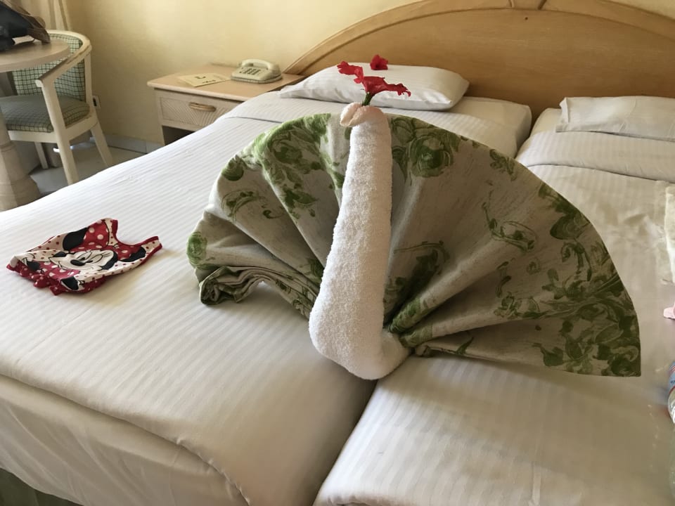 Zimmer Ghazala Gardens