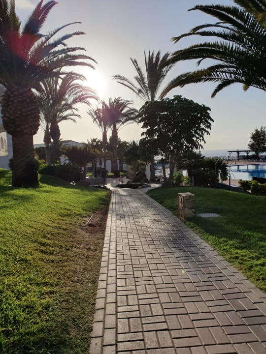 Gartenanlage TUI MAGIC LIFE Fuerteventura