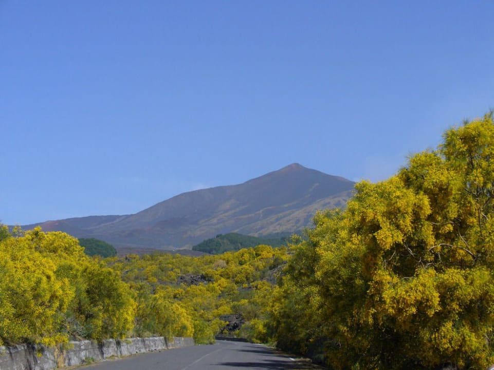 Panorama/Vista Hotel Il Vigneto
