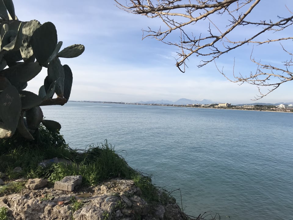 Ausblick Side Star Beach
