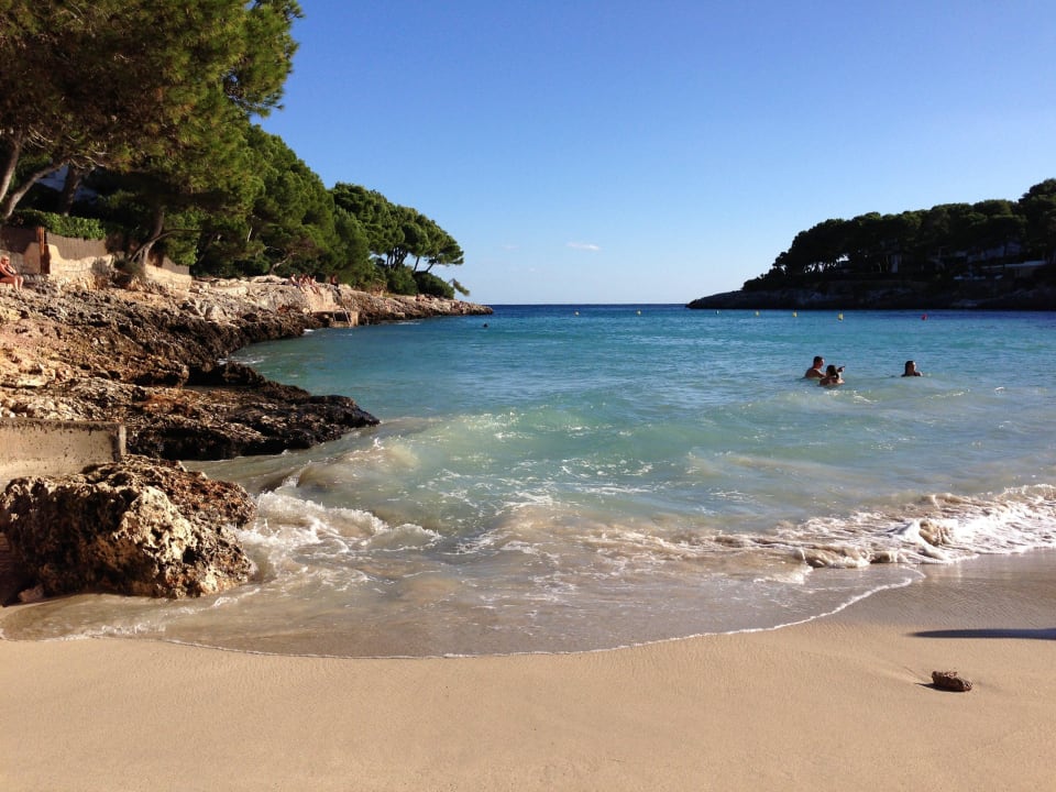 Schöner und sauberer Strand Gavimar Cala Gran Costa del Sur
