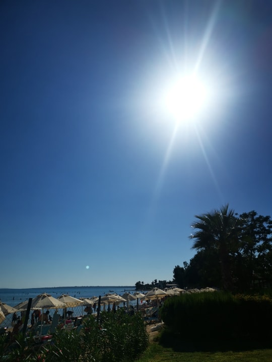 Gartenanlage Hotel The Holiday Resort