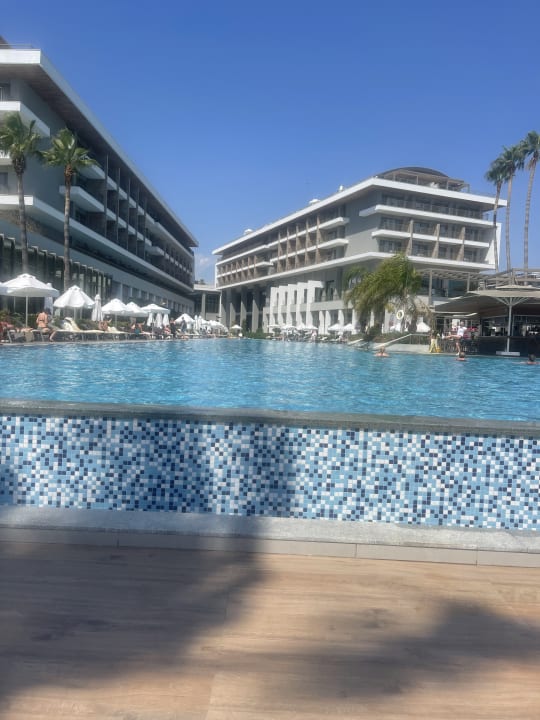 Pool Acanthus Cennet Barut Collection
