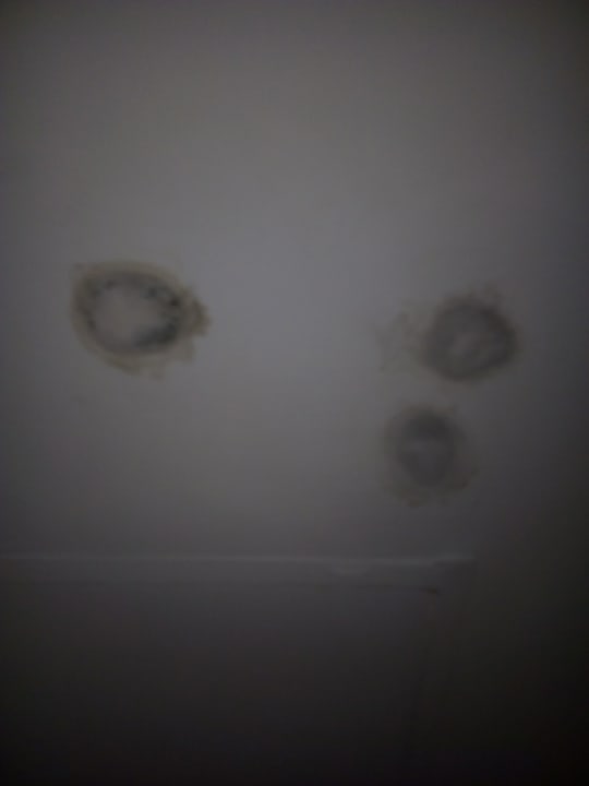 Zimmer Royal Star Beach Resort