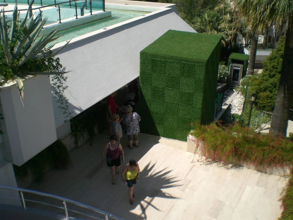 Lift Side Star Elegance