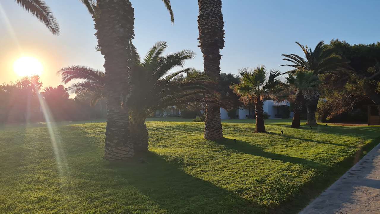 Gartenanlage Pickalbatros Dana Beach Resort - Hurghada
