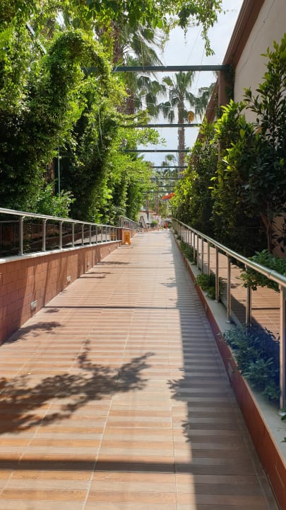 Gartenanlage Hane Family Resort