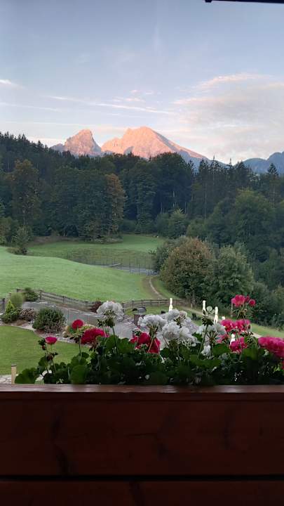 Zimmer Alm- & Wellnesshotel Alpenhof