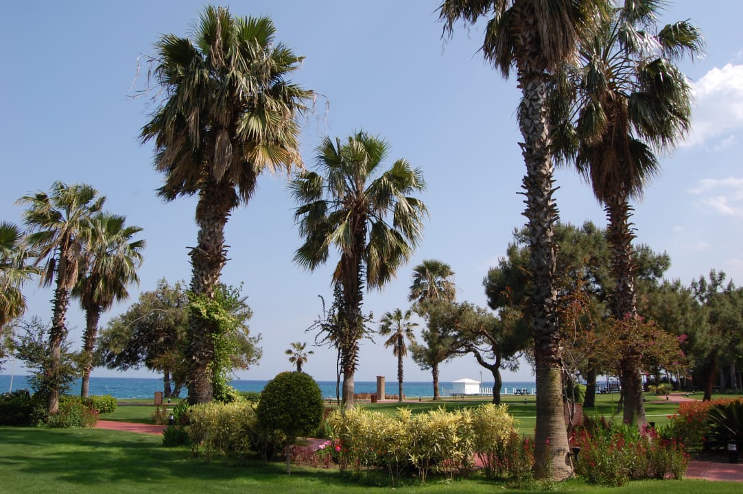 Gartenanlage TUI MAGIC LIFE Beldibi +16