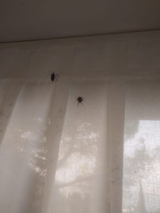 Sonstiges Hotel Marco Polo