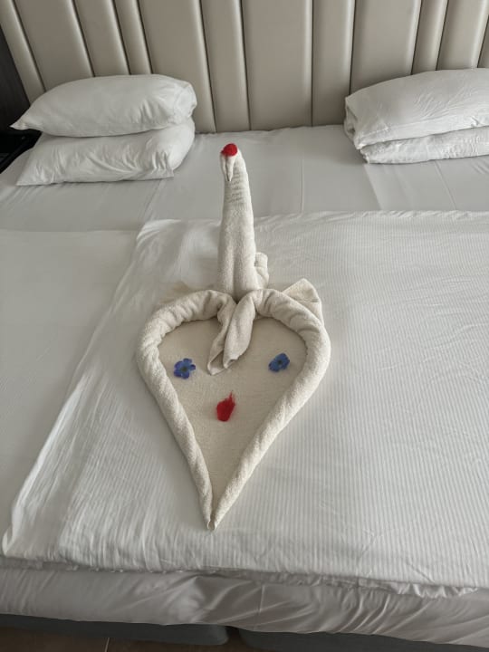 Zimmer Pickalbatros Palace Resort