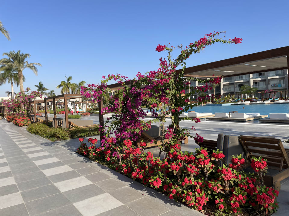 Gartenanlage Steigenberger Resort Ras Soma