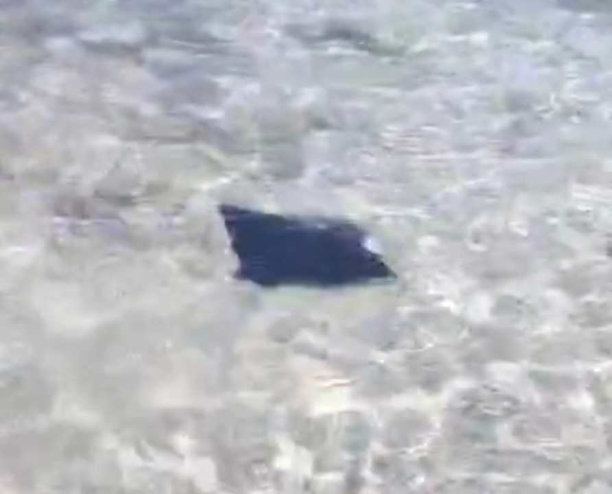 Strand Flamenco Beach & Resort