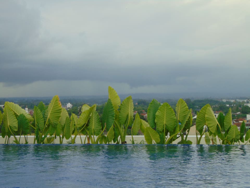 Pool Innside by Melia Yogyakarta