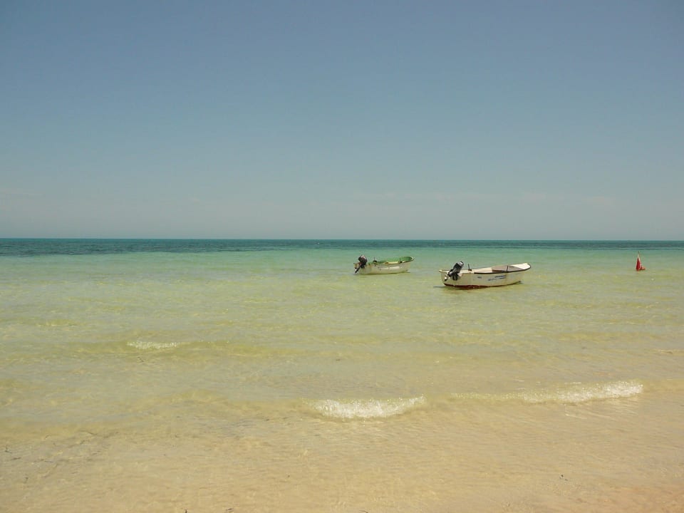 Das Meer ist schön warm; Djerba Plaza Thalasso & Spa
