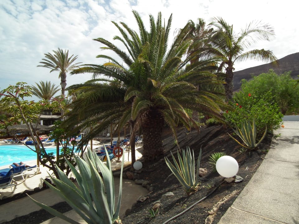allsun Hotel Esquinzo Beach allsun App.-Hotel Esquinzo Beach