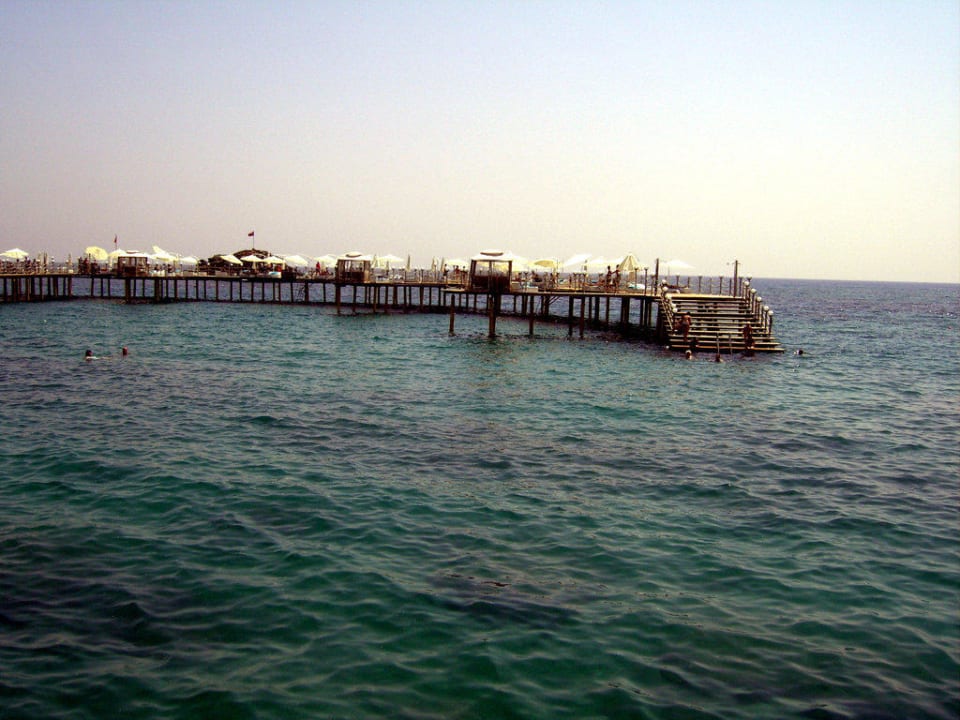 Steg Granada Luxury Okurcalar