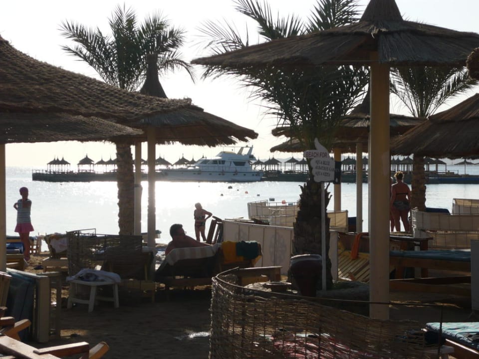  Hinweissschild Beach Albatros Resort