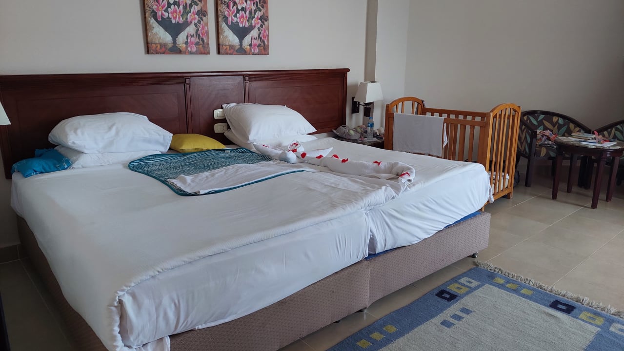 Zimmer Amwaj Beach Club Abu Soma Resort