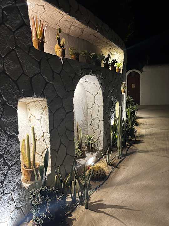 Gartenanlage Sunrise Tucana Resort - Grand Select