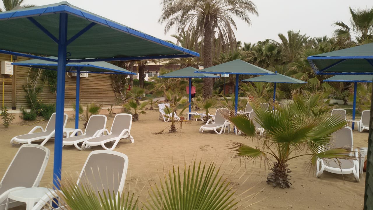 Strand Paloma Oceana