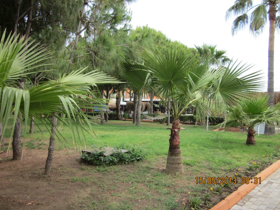 Территория отеля Club Turtas Beach Hotel