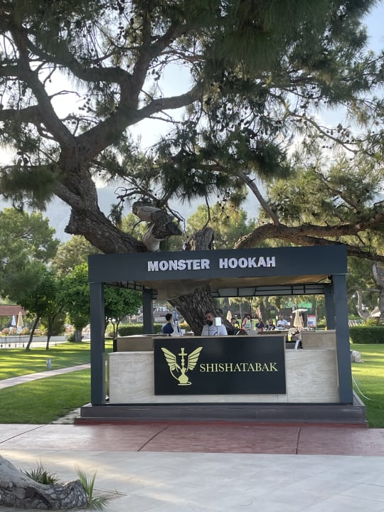 Gastro TUI MAGIC LIFE Beldibi +16