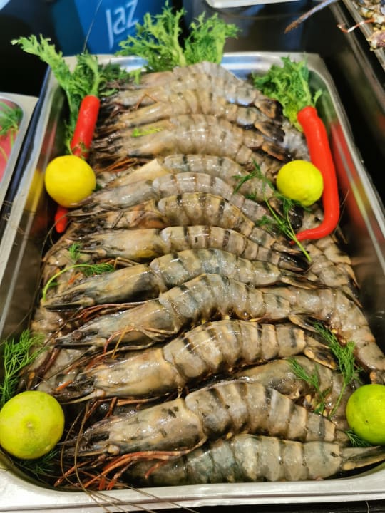 Gastro Hotel JAZ Makadi Star & Spa