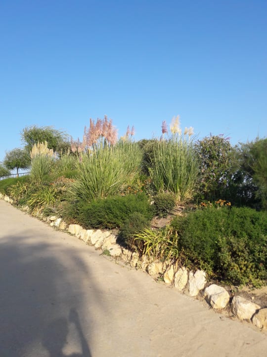 Gartenanlage Premier Fort Beach