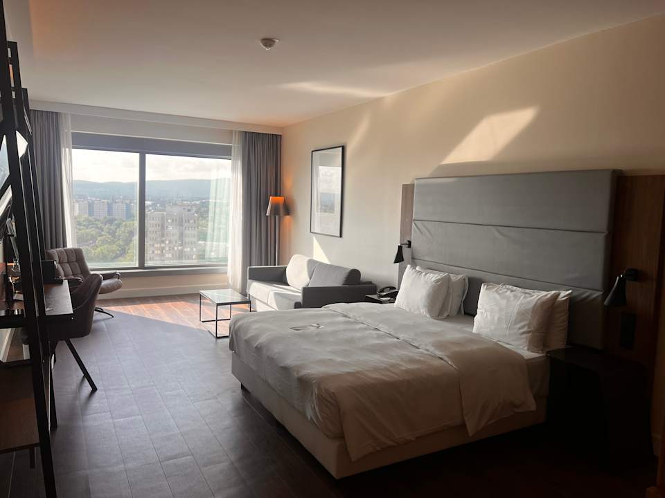 Zimmer Radisson Blu Hotel Frankfurt