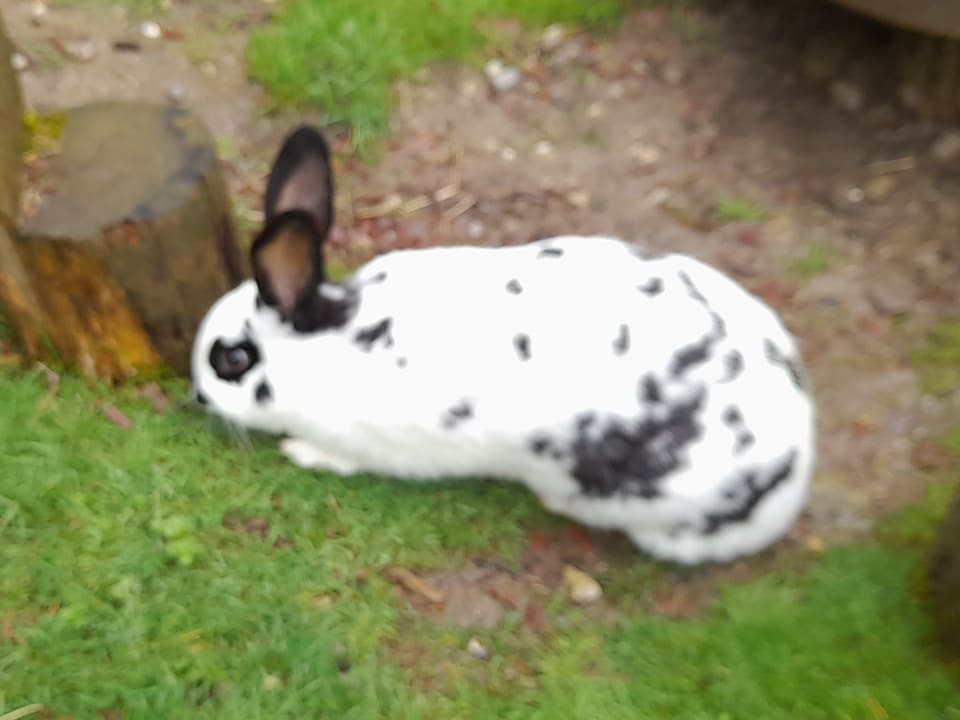 Sonstiges Oberjoch - Familux Resort