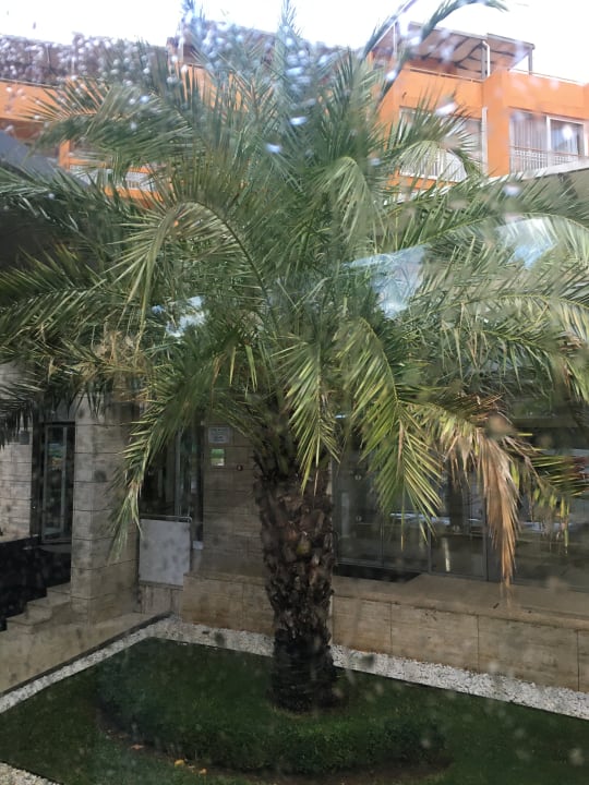 Gartenanlage Hotel Umag Plava Laguna