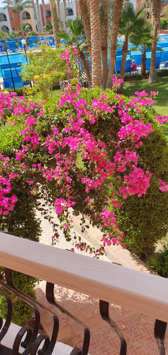 Gartenanlage Arabia Azur Resort