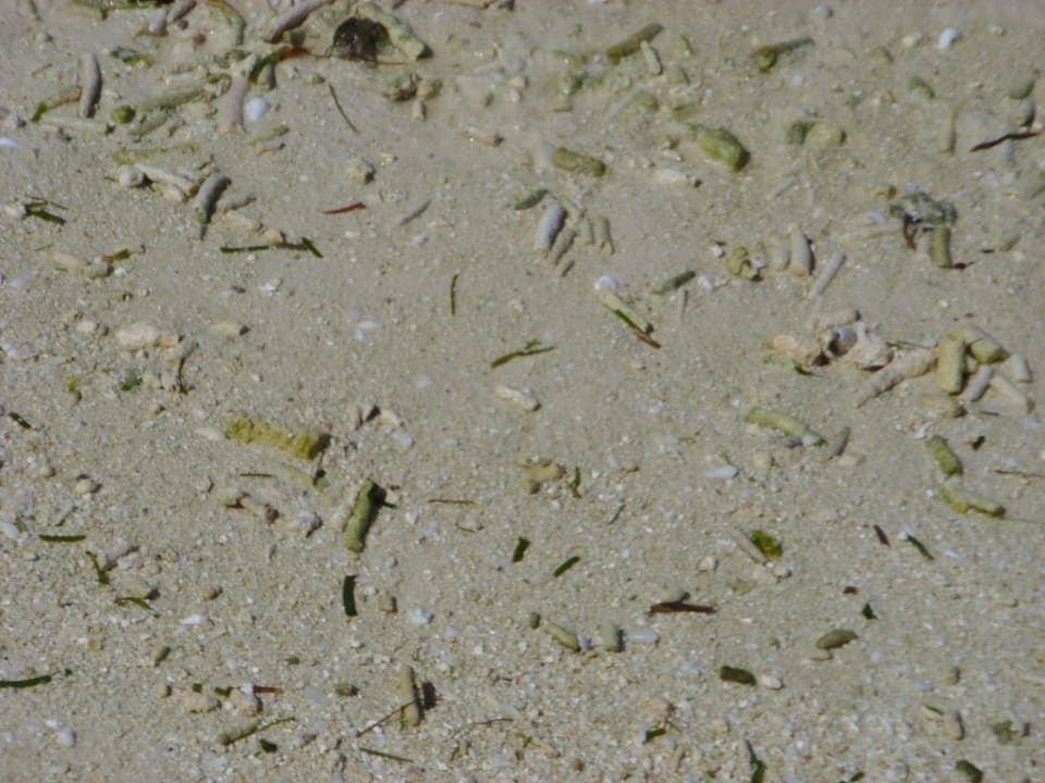 Strand vor den Gartenbungalows (Ebbe) Kuredu Island Resort & Spa