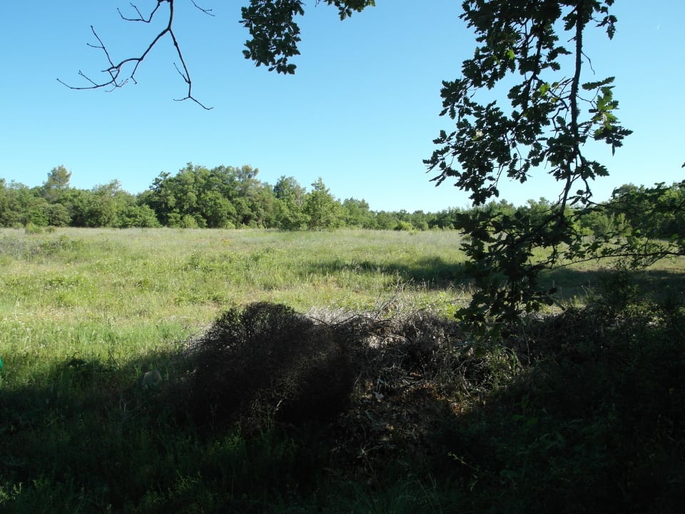 La Boussone Residence Gites du Domaine de la Blaque