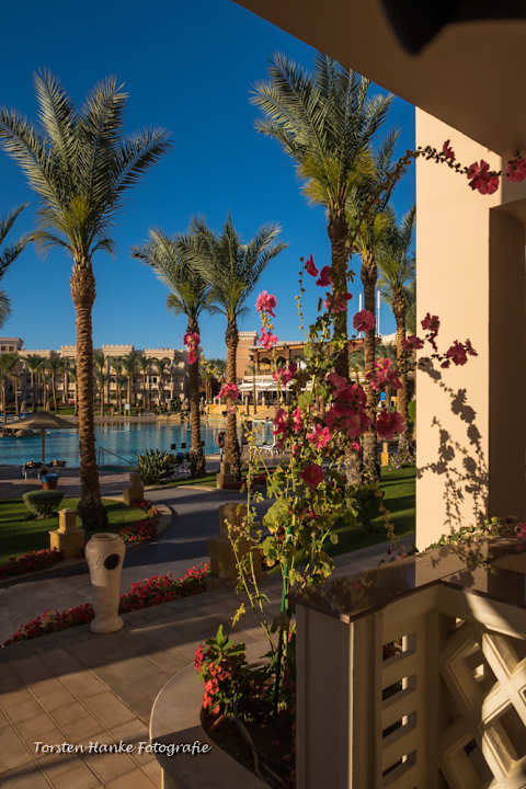 Ausblick Pickalbatros Palace Resort