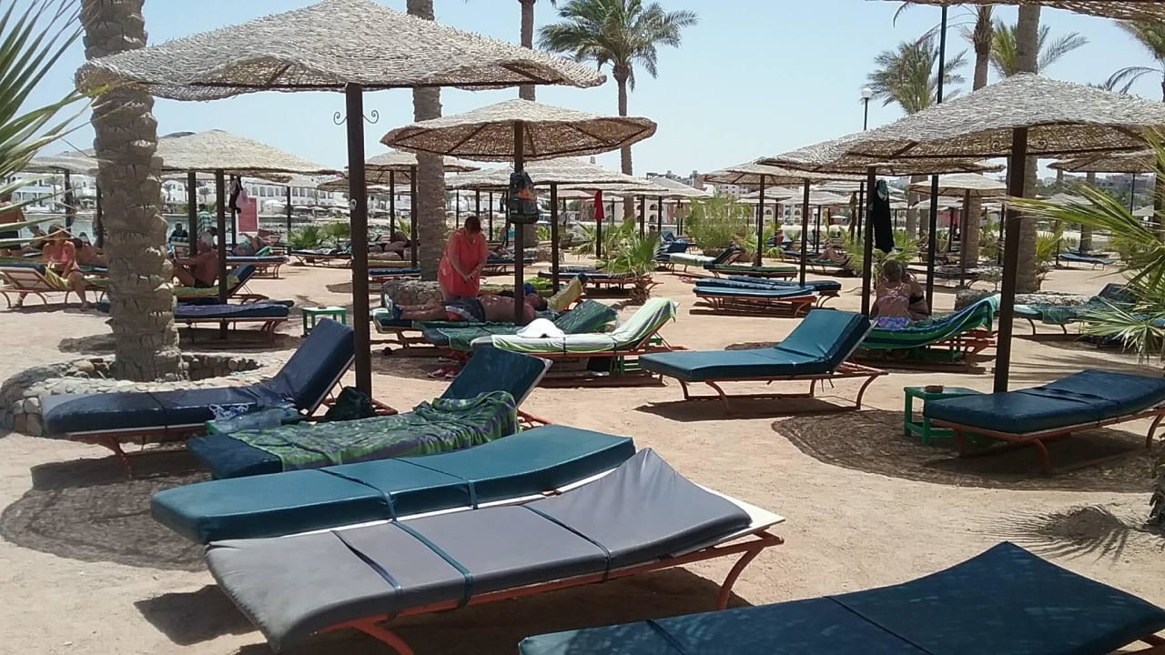 Sonnenliegen für jeden Arabia Azur Resort