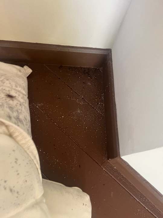 Zimmer Kihaa Maldives