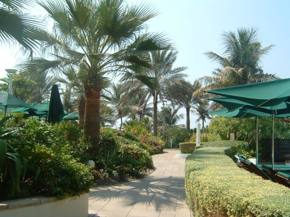 Poolbereich Jumeirah Beach Club Jumeirah Beach Hotel