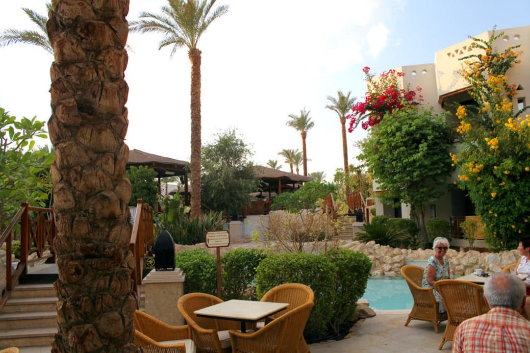 Blick vom Ghazala Cafe aus Ghazala Gardens