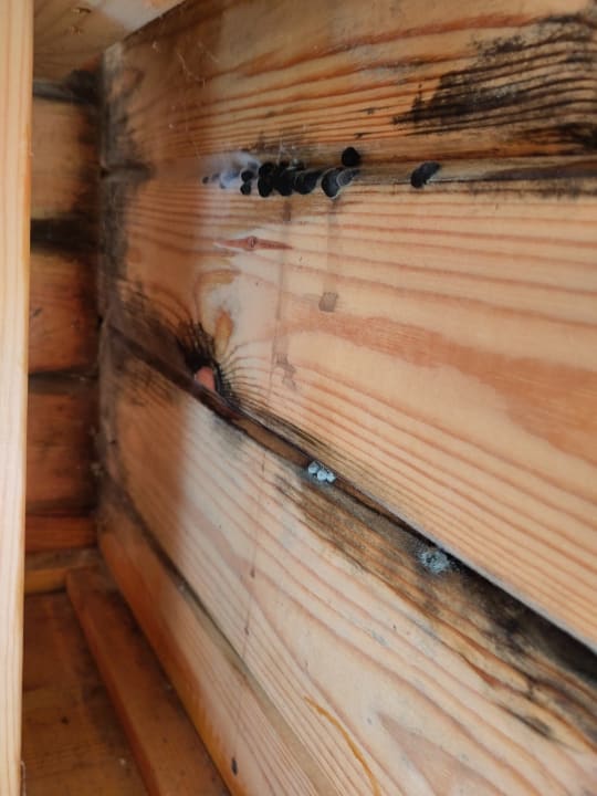 Zimmer Waldferienpark Gerolstein