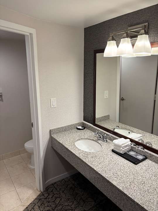 Zimmer Sheraton Pentagon City Hotel