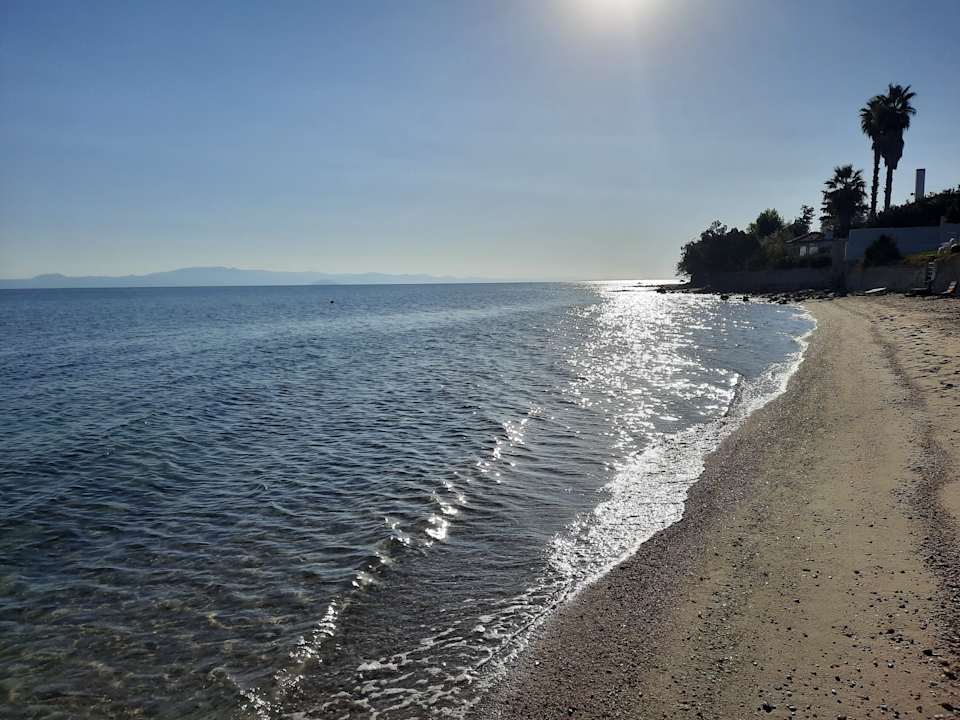 Strand Kassandra Palace Seaside Resort