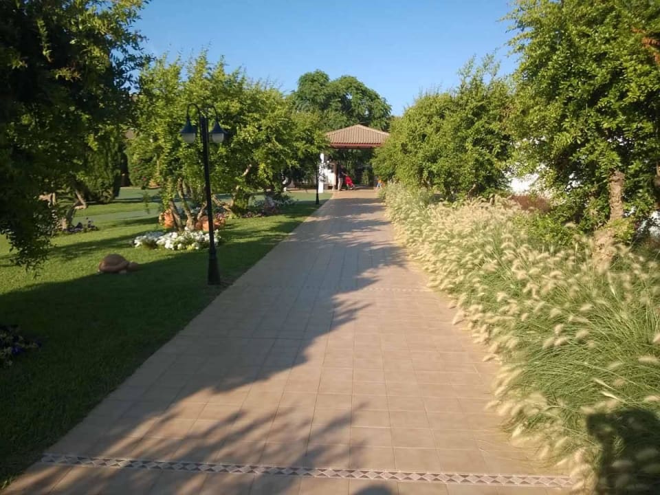 Weg ins Restaurant Prinsotel La Dorada