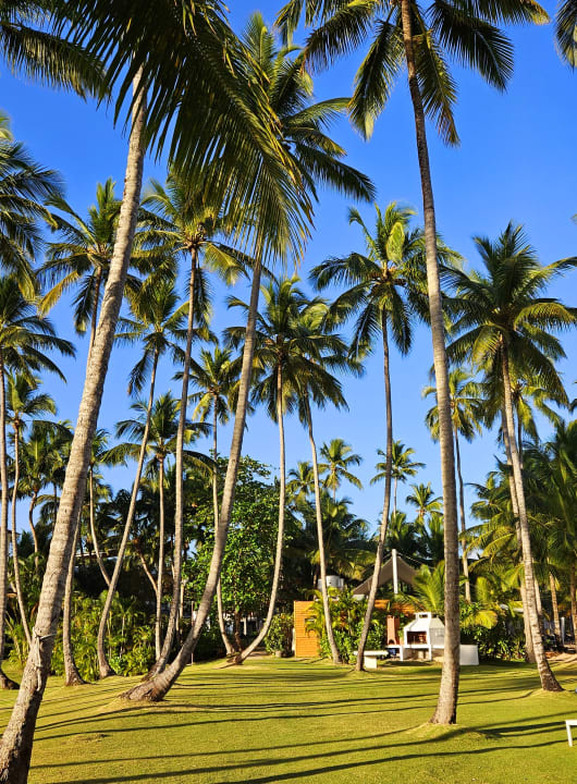 Gartenanlage Viva V Samana by Wyndham – Adults Only