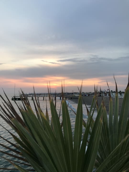 Ausblick Selectum Family Resort Side