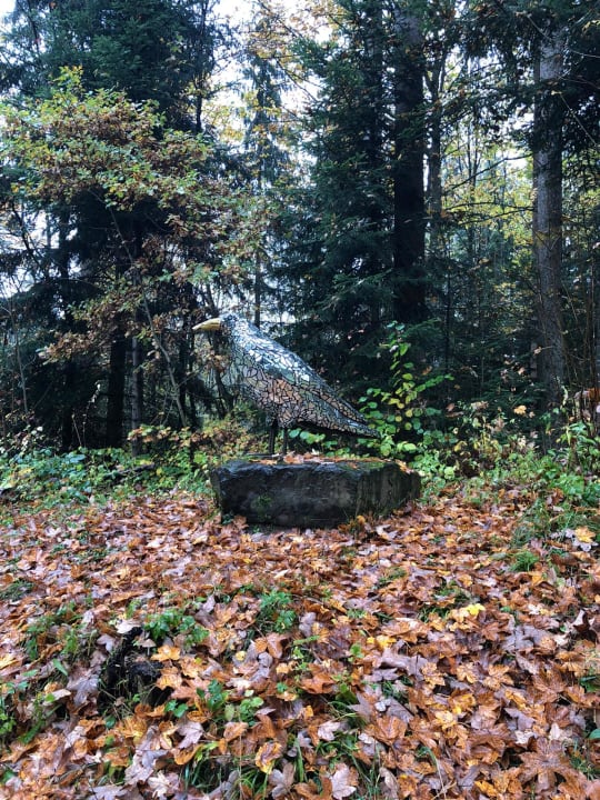 Garten Hotel-Resort Waldachtal