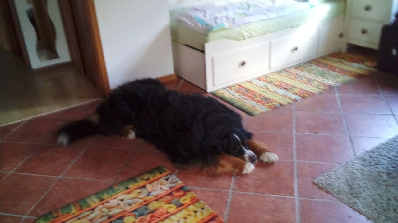 Zimmer Ferienwohnung Biehaule